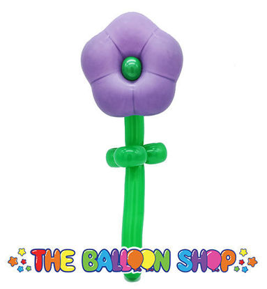 Picture of Geo Flower - Balloon