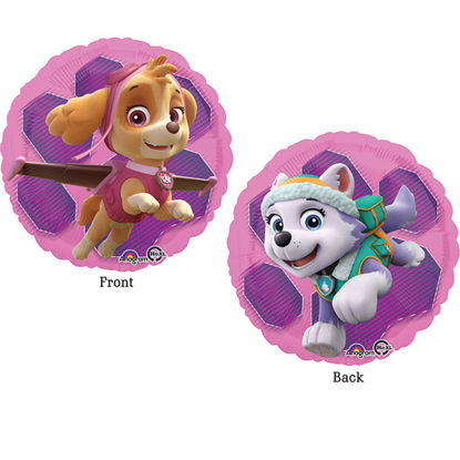 Picture of 17" Paw Patrol Skye and Everest Balloon (helium-filled)