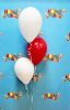 Picture of 11 Inch Helium Balloon Bouquet of 3